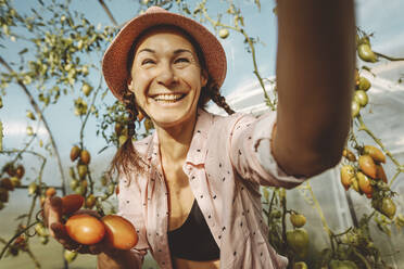 Glücklicher Bauer mit frischen Tomaten im Gewächshaus - IEF00012