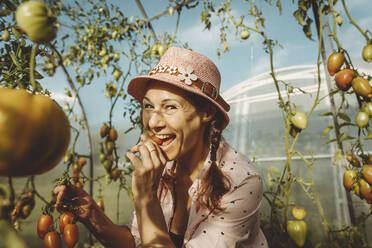 Glücklicher Bauer isst frische Tomate im Gewächshaus - IEF00016