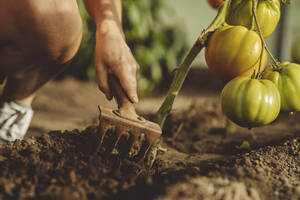 Hand eines Landwirts, der den Boden mit einer Gartengabel umgräbt - IEF00024