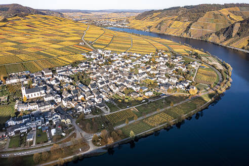 Deutschland, Rheinland-Pfalz, Minheim, Luftaufnahme einer ländlichen Stadt an der Mosel mit herbstlichen Feldern im Hintergrund - AMF09586