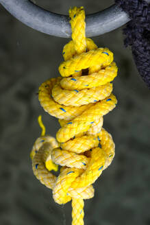 Komplexer Knoten auf gelbem Seil - WIF04587