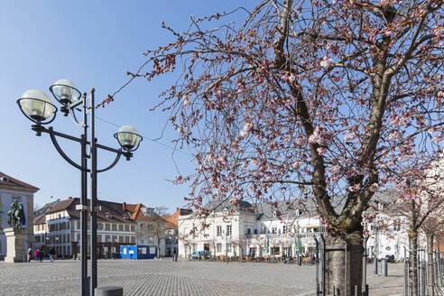 Deutschland, Rheinland-Pfalz, Landau, Straßenlaterne und blühender Mandelbaum vor dem Rathausplatz - GWF07569