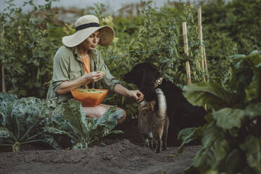 Woman feeding green peas to dog and cat in garden - IEF00075