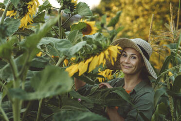 Smiling woman working with sunflowers in garden - IEF00090