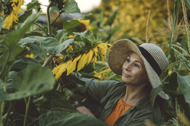 Reife Frau, die Sonnenblumen im Garten analysiert - IEF00091