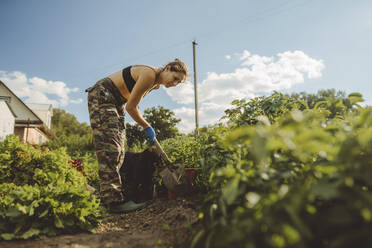 Mature woman digging with shovel in vegetable garden - IEF00102