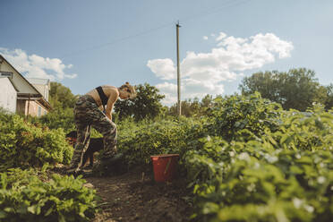 Woman working with shovel in vegetable garden - IEF00103