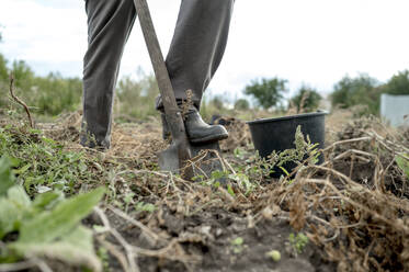 Farmer digging soil with shovel in farm - ANAF00002