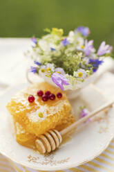 Red currants and honeycombs on plate - ONAF00124