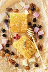 Nuts, berries, cheese and honeycombs - ONAF00128