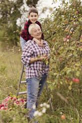 Smiling grandmother with grandson standing by apple tree - ONAF00136