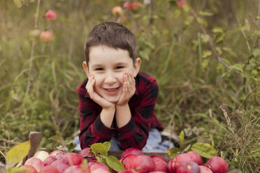 Lächelnder niedlicher Junge mit Händen am Kinn, der neben geernteten Äpfeln im Obstgarten sitzt - ONAF00139