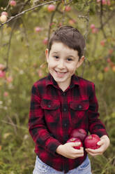 Glücklicher Junge mit frischen roten Äpfeln auf dem Bauernhof - ONAF00142