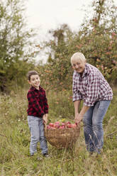 Glückliche Großmutter mit Enkel, der einen Korb mit Äpfeln auf dem Bauernhof hält - ONAF00145