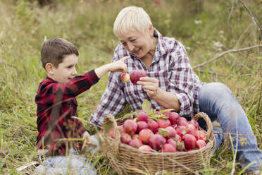 Smiling grandmother and grandson comparing apples together at orchard - ONAF00146