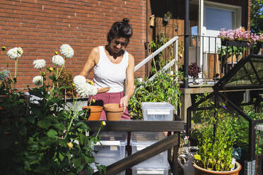 Smiling woman with flower pot at terrace - DMMF00108