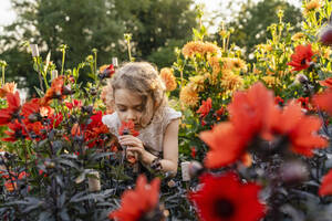 Kleines Mädchen riecht an Blumen im Garten - DIGF18830