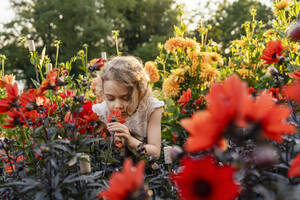 Little girl smelling flowers in garden - DIGF18830