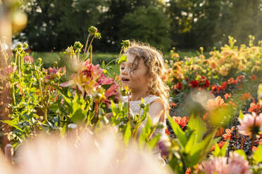 Kleines Mädchen riecht an Blumen im Garten - DIGF18831