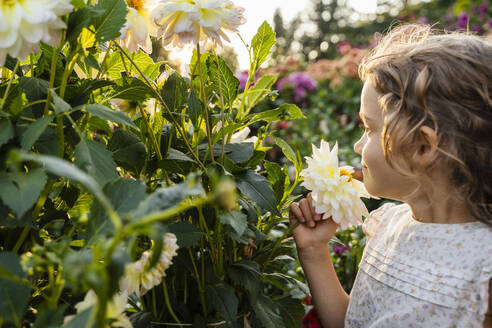Kleines Mädchen riecht an Blumen im Garten - DIGF18834