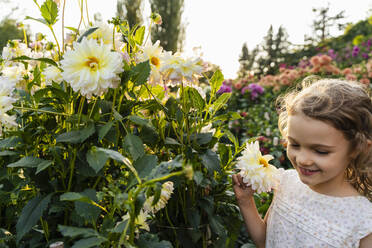 Kleines Mädchen riecht an Blumen im Garten - DIGF18835