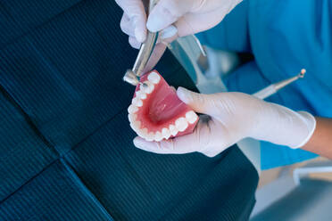 Top view of crop anonymous female dentist using dental drill while practicing treatment on denture during work in modern clinic - ADSF38747