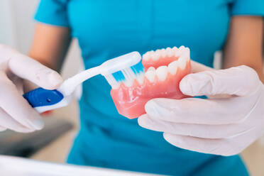 Abgeschnittene, nicht erkennbare Zahnärztin in Uniform, die ihr Gebiss mit einer Zahnbürste während der Arbeit in einer modernen kieferorthopädischen Klinik putzt - ADSF38749
