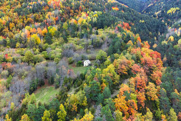 Drone view of residential house located among trees with colorful foliage growing in dense forest on autumn day in nature - ADSF38769