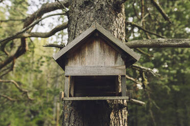 Wooden birdhouse hanging on tree trunk - JCCMF07347