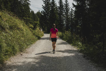 Wanderer auf Wanderweg im Wald - DMGF00834