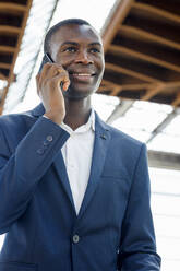 Happy businessman talking on mobile phone - IFRF01727