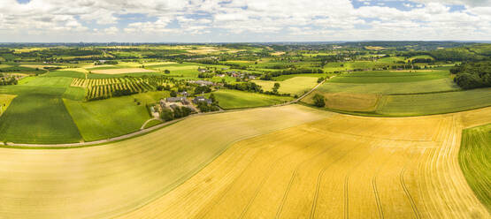 Luftbildpanorama einer hügeligen Landschaft mit Ackerland, Wiesen und Obstgärten, Südlimburg, Niederlande. - AAEF15826