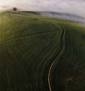 Luftaufnahme der Overberg-Farm mit Nebel, Westkap, Südafrika. - AAEF15893