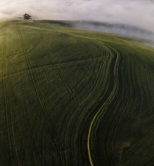 Luftaufnahme der Overberg-Farm mit Nebel, Westkap, Südafrika. - AAEF15893
