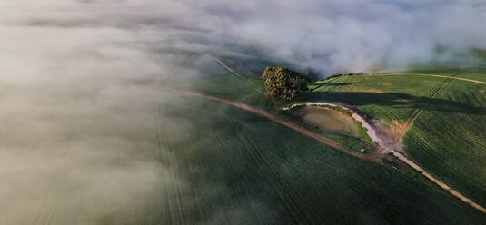 Aerial view of Overberg farm with fog, Western Cape, South Africa. - AAEF15898