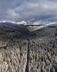 Aerial view of a road crossing Maxwell Snow Park in winter, Oregon, United States. - AAEF15956