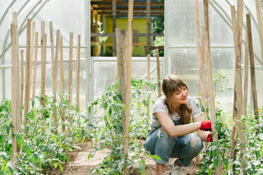 Young female carefully examining plant while crouching at greenhouse - ADSF38843