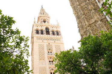 Von unten der Giralda-Turm der historischen Kathedrale in Sevilla - ADSF38944