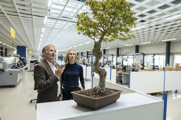 Geschäftsmann im Gespräch mit einem Kollegen über einen Bonsai-Baum in einer Fabrik - JOSEF13296