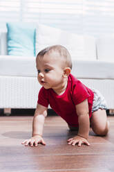 Niedliches Baby Junge krabbeln auf dem Boden im Wohnzimmer zu Hause - PNAF04522