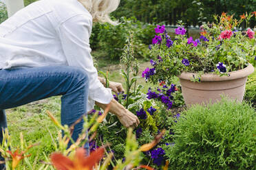 Ältere Frau bei der Pflege von Pflanzen im Garten - SEAF01268