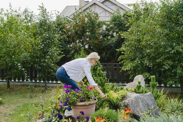 Senior woman by flowers and plants in garden - SEAF01269