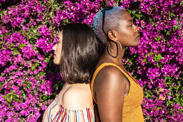 Seitenansicht von asiatischen und afroamerikanischen Freundinnen, die Rücken an Rücken neben einem hell blühenden Strauch im Garten stehen - ADSF39155
