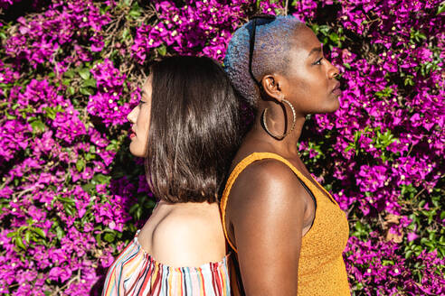 Side view of Asian and African American girlfriends standing back to back near bright blooming shrub in garden - ADSF39155