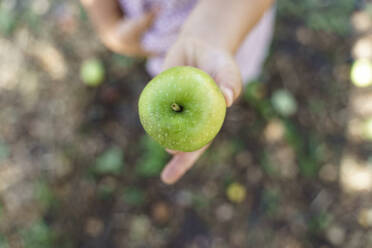 Hand eines Mädchens mit grünem Apfel - TOF00139