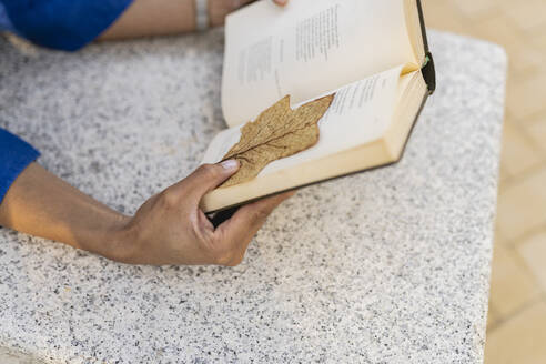 Hände einer Frau halten ein Buch mit einem trockenen Blatt auf einer Betonbank - JCCMF07404