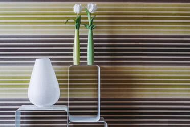 Minimalistisches Konzept mit weißen Blumen in schmalen Keramikvasen und großer moderner Vase auf weißen Regalen in einem Raum mit gestreifter Wand - ADSF39238