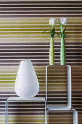 Minimalistisches Konzept mit weißen Blumen in schmalen Keramikvasen und großer moderner Vase auf weißen Regalen in einem Raum mit gestreifter Wand - ADSF39239