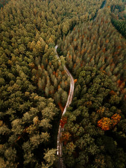 Drohnenansicht einer Straße im Wald von Otzarreta in Gorbea, Bizkaia, Herbstkonzept. - ADSF39267