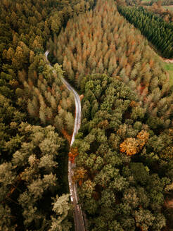 Drohnenansicht einer Straße im Wald von Otzarreta in Gorbea, Bizkaia, Herbstkonzept. - ADSF39268